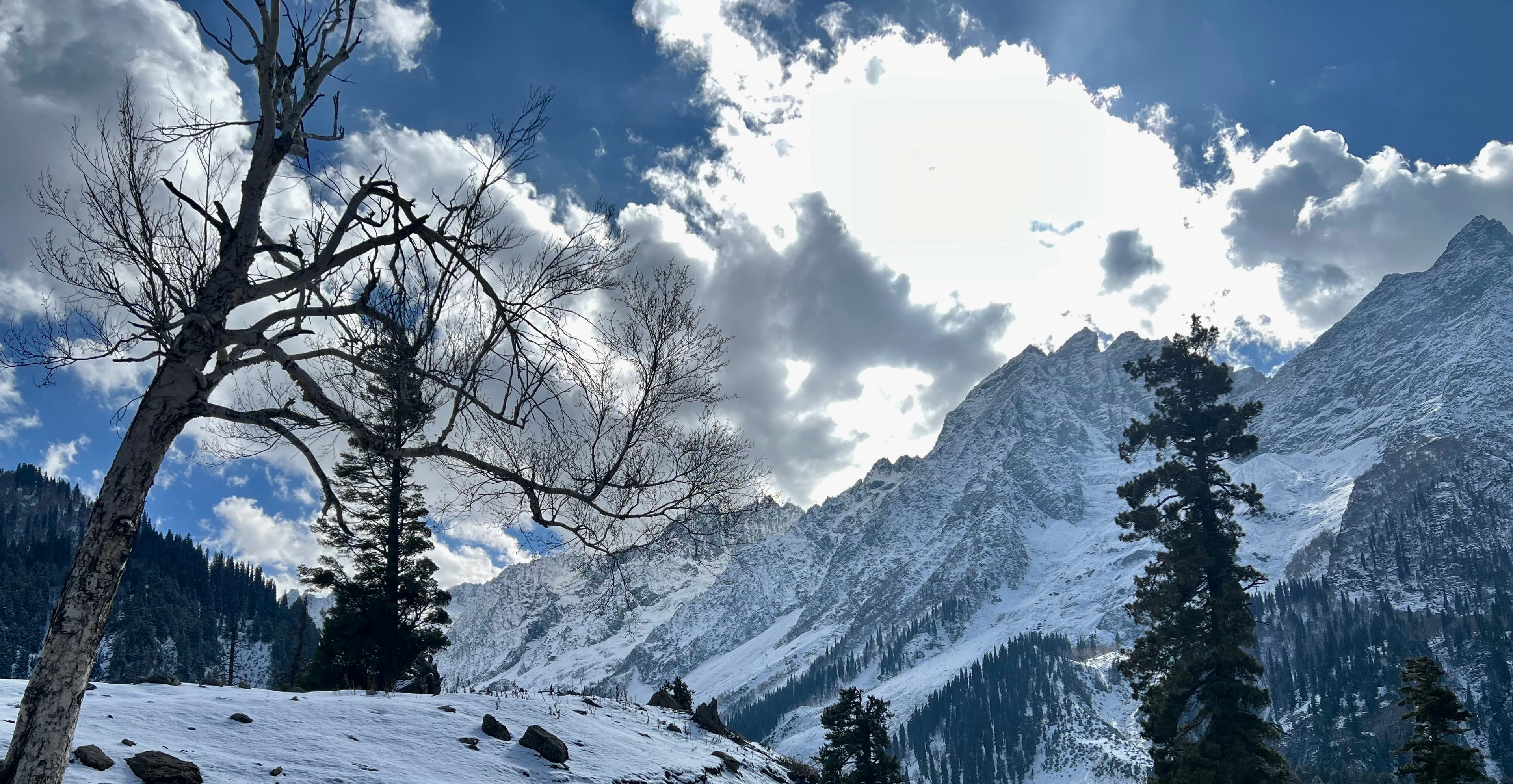 1 Day Gulzar Gulmarg - Kashmir package image